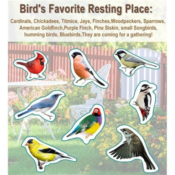 Upgraded 5-Prong Base Bird Bath with Metal Stake, Detachable Decoration Bowl Spa - Picture 7 of 8